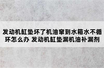 发动机缸垫坏了机油窜到水箱水不循环怎么办 发动机缸垫漏机油补漏剂